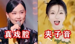 戏腔歌手爆料视频,独家爆料视频大揭秘